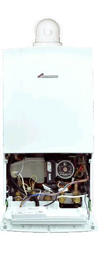 wc greenstar 36 cdi compact panel down case on with flue.gif